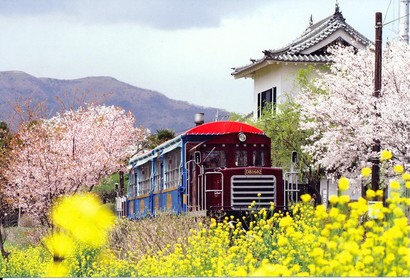 후쿠오카,미나미협곡열차