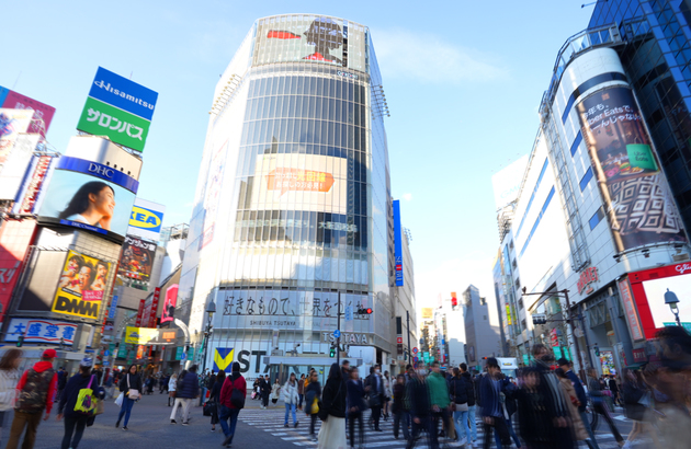 가나가와 패키지 여행 - 부산출발 동경 후지산 4일 #가와구치 #하코네 #가마쿠라 #에노시마 (티웨이항공)