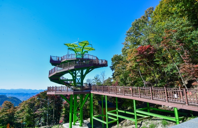 옥천/청주 2일 #충북웰니스 #3식제공 #부소담악 #화인산림욕장 #청남대 #말티전망대(2인1실) 10