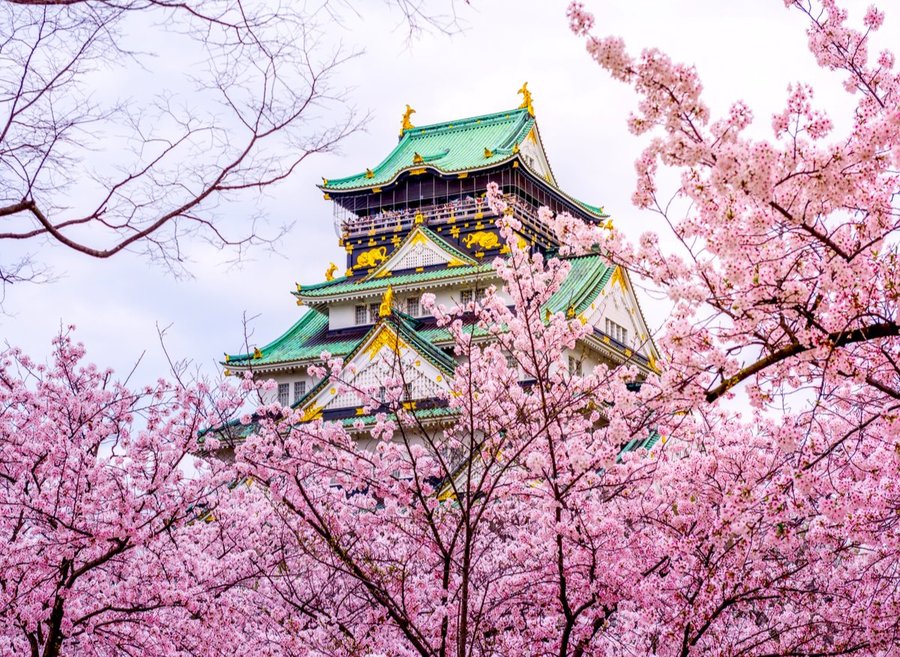 사진:★100%출발확정★오사카3일 #꽉찬일정 #전일관광or유니버셜or1일자유