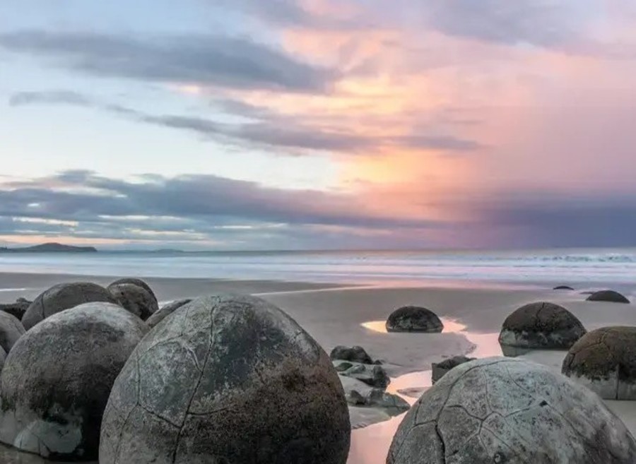 사진:뉴질랜드 남북섬 9일 #신상품 #펭귄서식지 #거울호수 #로토루아 #더니든 #오아마루