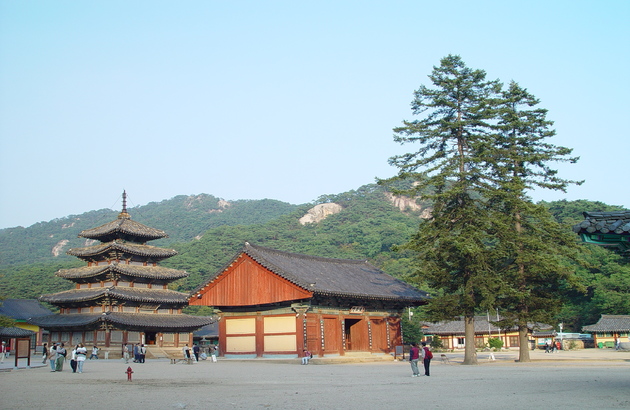 옥천/청주 2일 #충북웰니스 #3식제공 #부소담악 #화인산림욕장 #청남대 #말티전망대(2인1실) 8