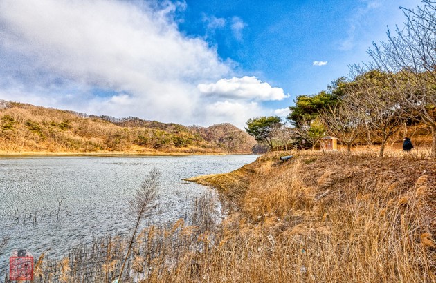 옥천/청주 2일 #충북웰니스 #3식제공 #부소담악 #화인산림욕장 #청남대 #말티전망대(2인1실) 4