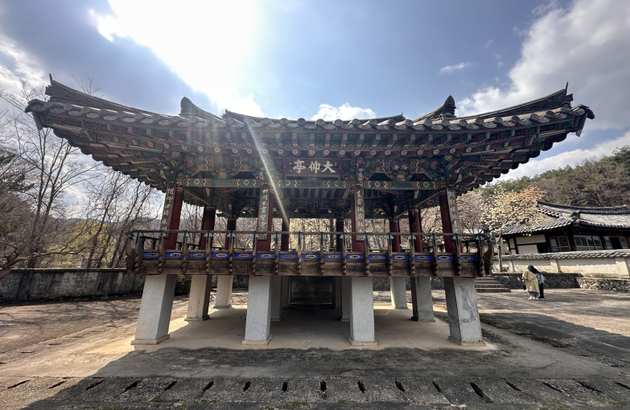 경남/거창 1일 #감악산꽃별여행축제 #아스타국화 #수승대&출렁다리 #덕천서원 9