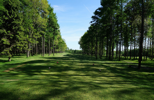 [북해도4일]숲속 별장에서 즐기는 북해도 프라이빗골프 #니도무CC #니도무코티지 #54홀 (이스타항공) 12