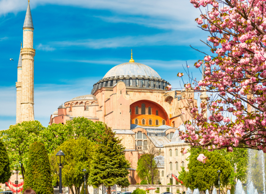 패키지상품 대표 이미지