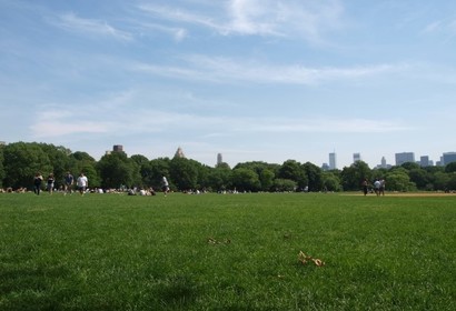 센트럴파크 (Central Park)