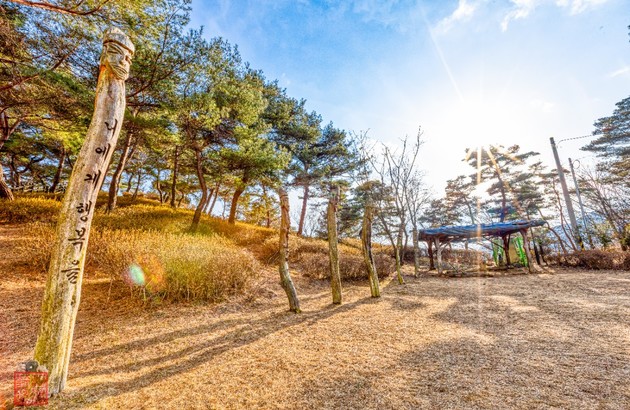 옥천/청주 2일 #충북웰니스 #3식제공 #부소담악 #화인산림욕장 #청남대 #말티전망대(2인1실) 6