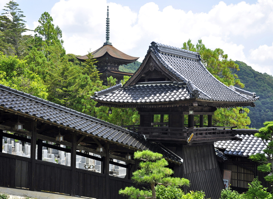 사진:부산출발 큐슈 4일 #부관훼리 #선내2박 #야마구치 #북큐슈 #온천욕 포함