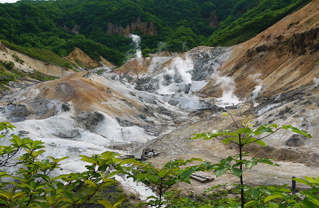 이미지설명