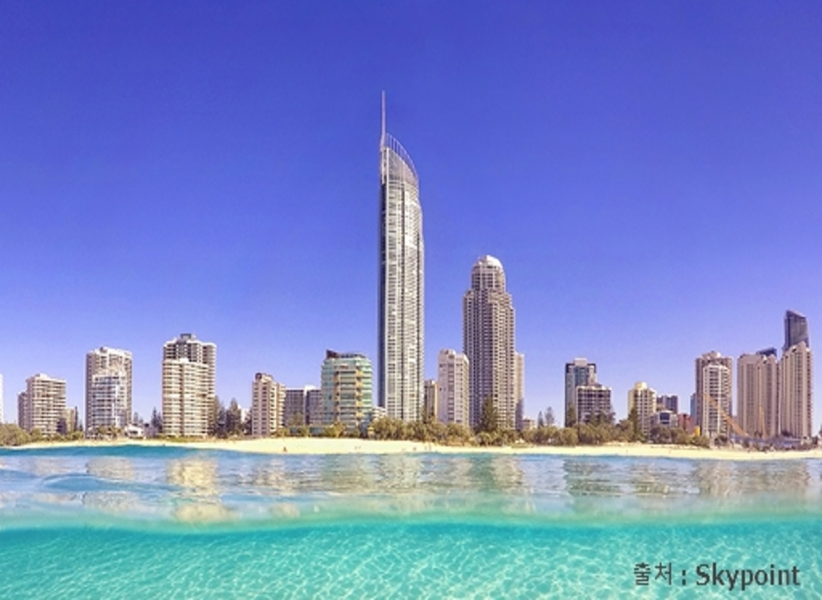 사진:시드니/브리즈번/골드코스트 6일/7일 #트로피칼프룻월드 #스카이포인트