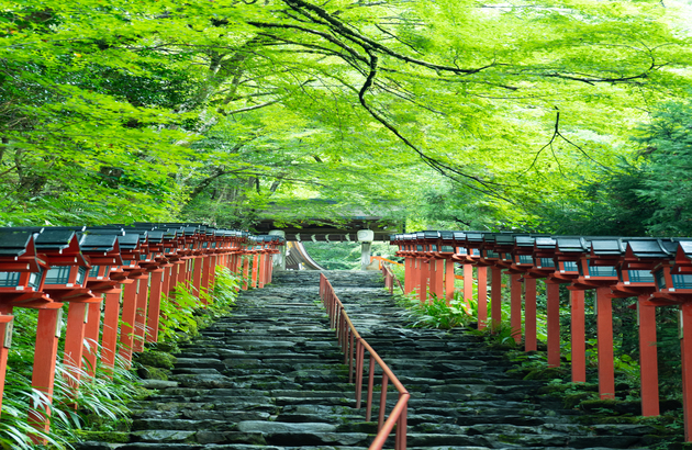 ★선착순특가/청주 오사카3일★#풀패키지#낭만교토숙박#식사ALL포함#오사카,교토,아라시야 (티웨이항공) 4