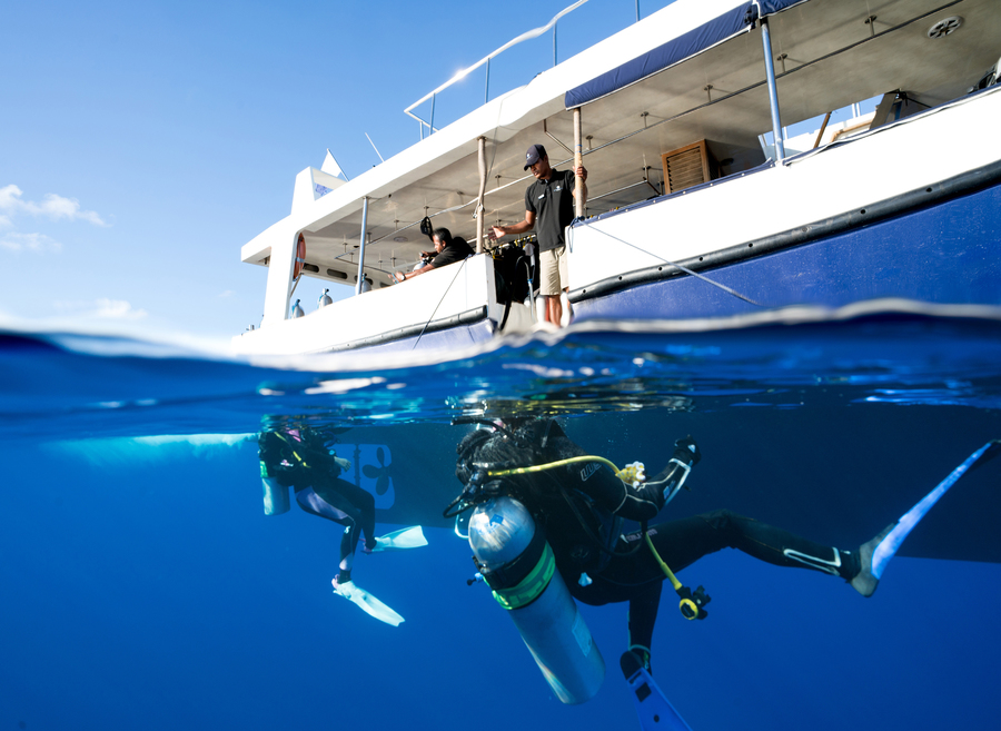 사진:[추석연휴] 몰디브 리브어보드 7박9일 #만타#고래상어#나이트록스FREE