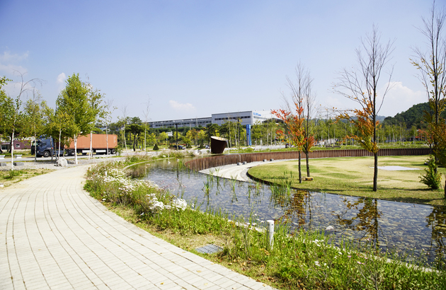 영월/제천 1일 #붉은메밀꽃잔치 #의림지 #모산비행장 #한방엑스포공원 7