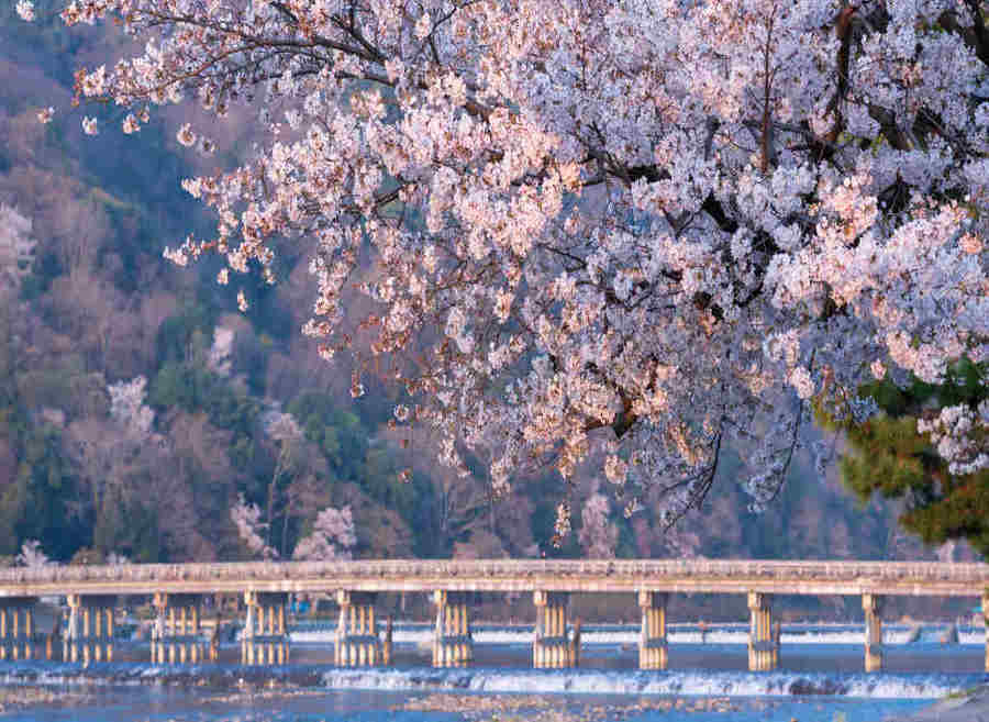 사진:[청주출발]오사카3/4일 #시내호텔연박#유니버셜vs전일관광/오사카,고베,교토