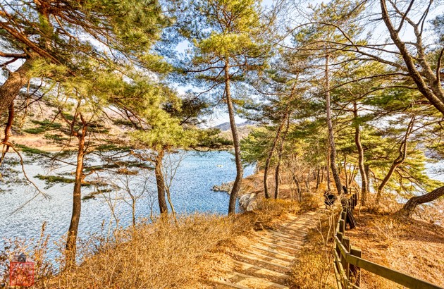 옥천/청주 2일 #충북웰니스 #3식제공 #부소담악 #화인산림욕장 #청남대 #말티전망대(2인1실) 5