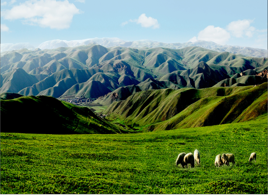 사진:[특별전세기]내몽골(호화호특)시라무런초원 5일/6일#현대식게르1박#춘쿤산초원#샹사완사막