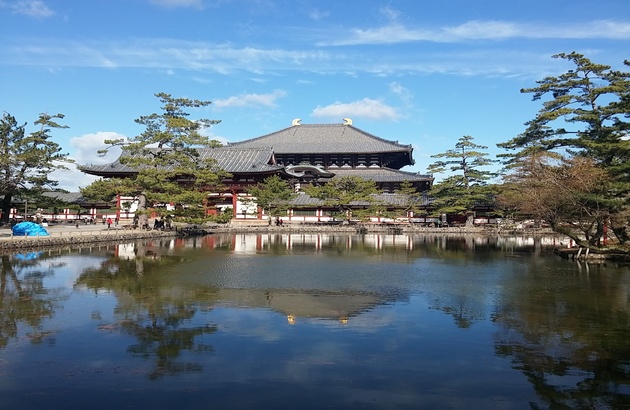 ★선착순특가★[라멘+주류무제한제공]오사카3일#이스타항공#시내호텔2연박#아리마온천#특식제공/오사카,교토,고베 (이스타항공) 10