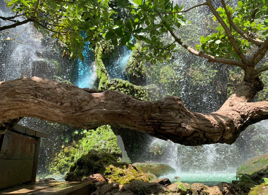 사진:부산출발 치앙마이 5/6일 #포인트#시크릿가든+먼쨈전망대+몽힐트라이브+핫플카페