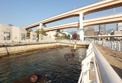 메모리얼 파크 2