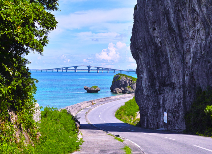 사진:오키나와3/4일 #힐튼2박 #특급리조트1박 #핵심관광 #현지특식 #츄라우미수족관