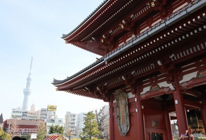 도쿄/동경