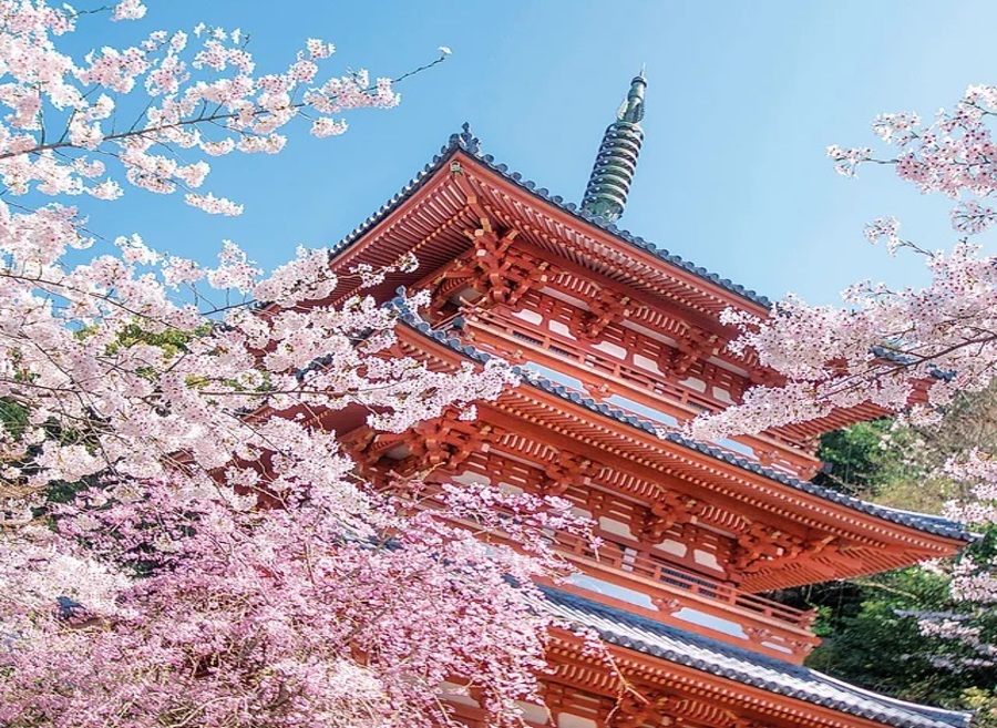 사진:오사카3일 #시내호텔연박 #천연온천체험♨ #유니버셜or전일관광선택 #오사카,교토,고베