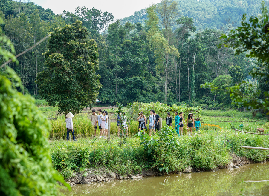 사진:하노이/하롱베이4/5/6일#ESG여행#농장체험#전신마사지1시간#하롱베이선상유람#루프탑바