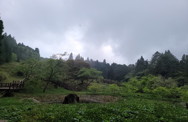 부산출발 가오슝 4일 #노쇼핑/노옵션 #타이난 #아리산 (티웨이항공) 3