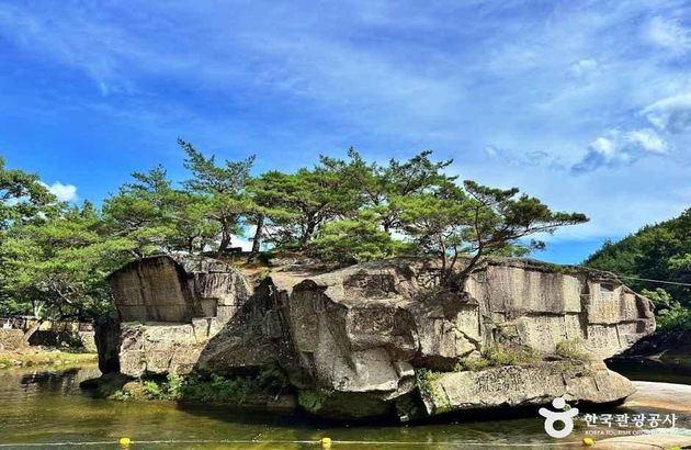 경남/거창 1일 #감악산꽃별여행축제 #아스타국화 #수승대&출렁다리 #덕천서원 4