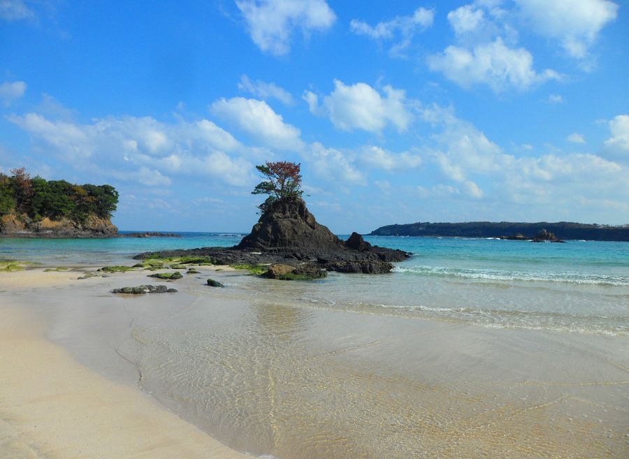 사진:씨플라워호 2일 #대마도+해산물BBQ #히타카츠,이즈하라