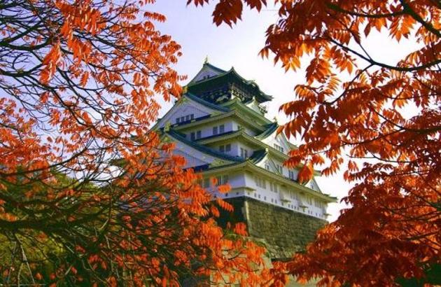 ★선착순특가★[라멘+주류무제한제공]오사카3일#이스타항공#시내호텔2연박#아리마온천#특식제공/오사카,교토,고베 (이스타항공) 27