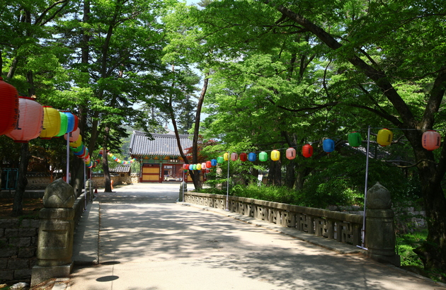 옥천/청주 2일 #충북웰니스 #3식제공 #부소담악 #화인산림욕장 #청남대 #말티전망대(2인1실) 7