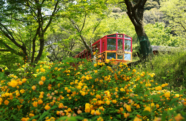 부산출발 오사카 3일 #실속있게 #교토 #고베 #롯코산전망대 #잇큐온천 #USJ선택 (티웨이항공) 2