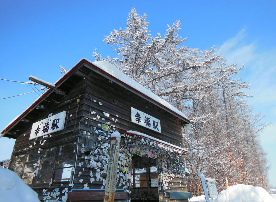 사진:북해도4/5일 #인천OR청주출발 #특급온천호텔1박 #행복역 #오비히로,삿포로,비에이