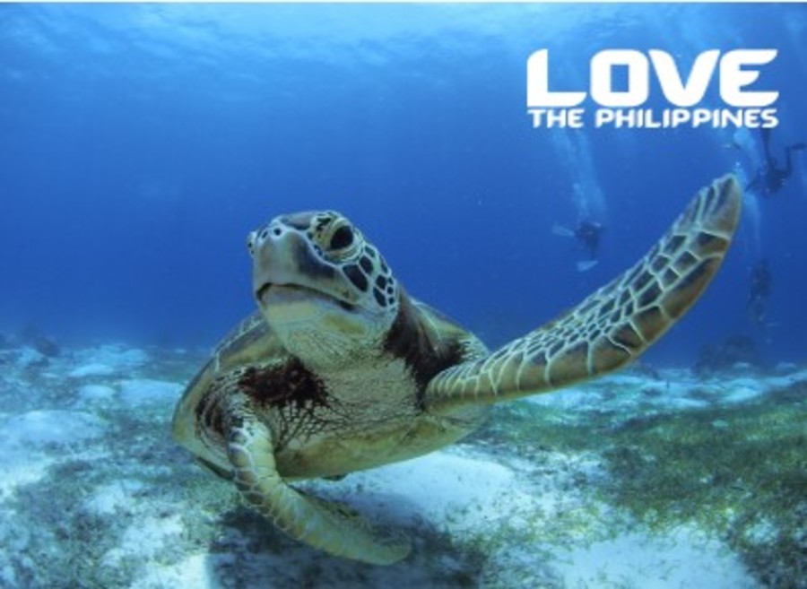 패키지상품 대표 이미지