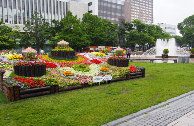 이미지설명