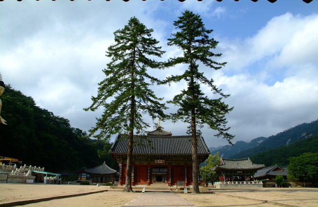 옥천/청주 2일 #충북웰니스 #3식제공 #부소담악 #화인산림욕장 #청남대 #말티전망대(2인1실) 11