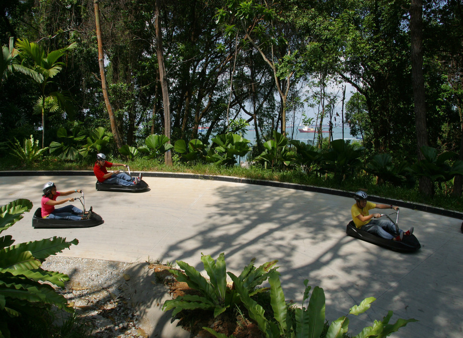 사진:싱가포르 5일 #특급호텔 #센토사 루지 2회 #1일자유 #NO쇼핑 #새우국수